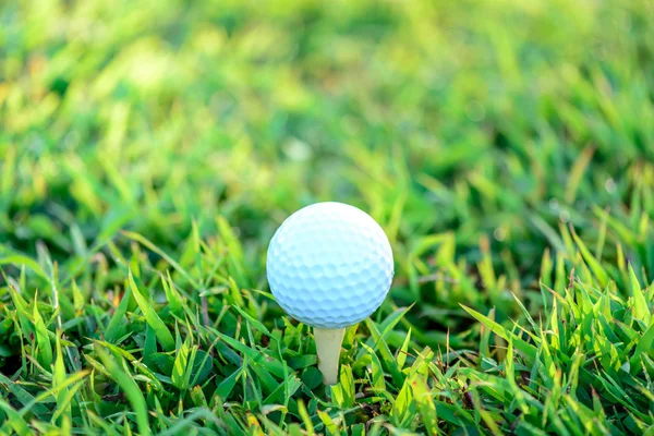 Boule de golf avec tee on early moning soleil lumière . — Photo