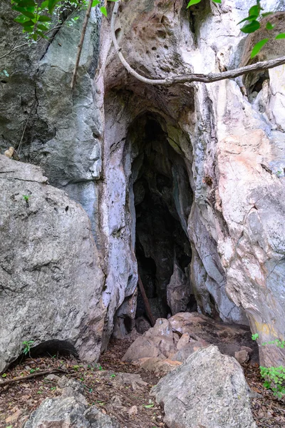 Grottan ingången i djupa skogen. — Stockfoto