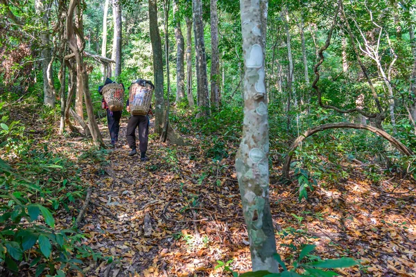 Sherpas mans dağın tepesine omuz kutbuna devam.