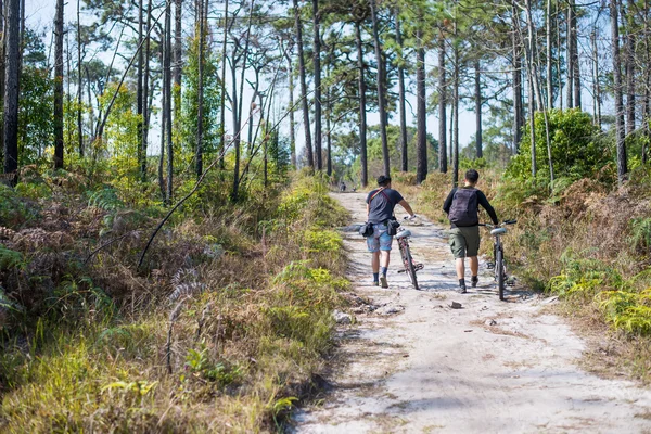 Cyclists rides on a gravel road in the middle of a pine forest. — Stock Photo, Image