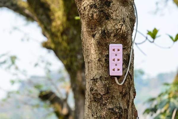 Plug soquete na árvore para uso ao ar livre . — Fotografia de Stock