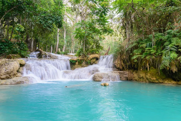 Kouangxi waterfall at Luang Prabang in Laos. — Stock Photo, Image