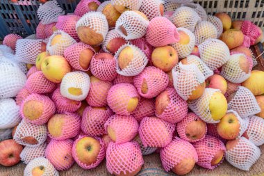 Korumasıyla elmalar.