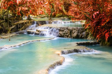 Kouangxi şelale Luang Prabang Laos.
