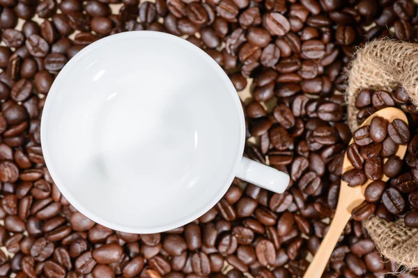 Empty white cup with coffee beans background. — Stock Photo, Image