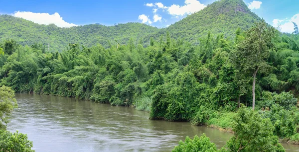 Vista panorámica del río y bosque con fondo montañoso . — Foto de Stock