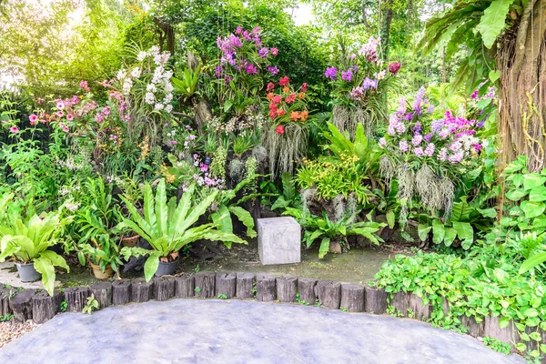 Taburete del asiento de piedra entre el jardín hermoso de la orquídea . — Foto de Stock