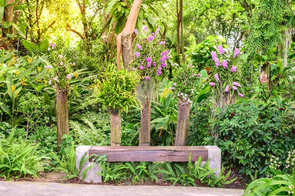 美丽的兰花花园中的木长凳. — 图库照片