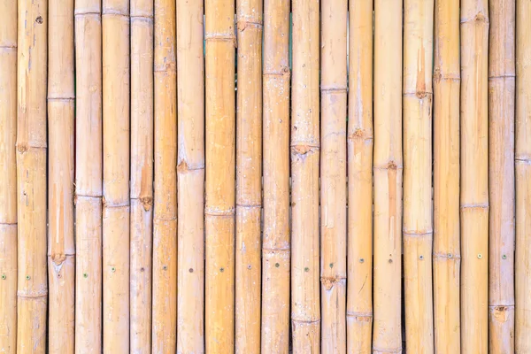 Nahaufnahme der Bambuswand als Hintergrund. — Stockfoto