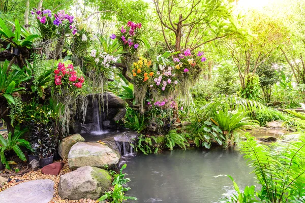 Hermoso jardín de orquídeas con cascada . — Foto de Stock