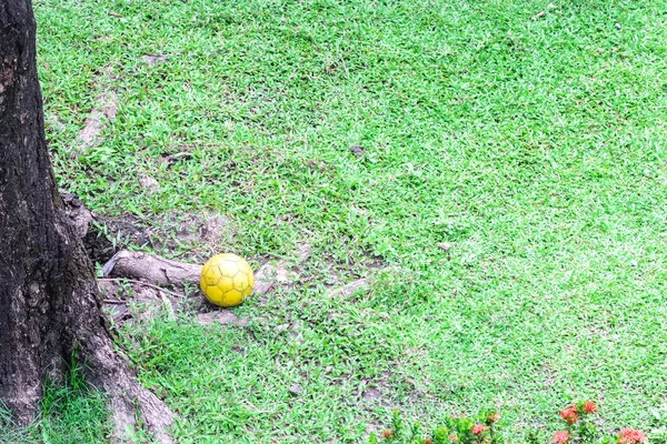 Old yellow football on grass near tree stub. — Stock Photo, Image