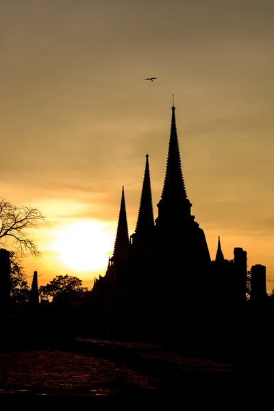 轮廓的扫管笏普拉斯里兰卡 Sanphet 在日落时分在大城府历史公园，泰国. — 图库照片