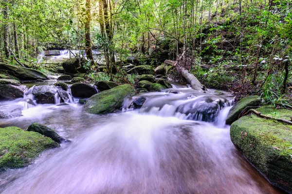 Cascade Tham Yai au parc national Phu Kradueng à Loei, Thaïlande . — Photo