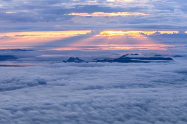 Sabah sis Dağı'nda gündoğumu Phu Kradueng Ulusal Park, Loei Tayland ile.