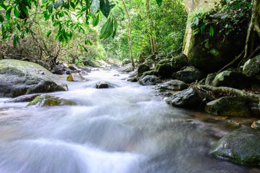 Milli Parkı, Saraburi Tayland Krak E Dok şelale.