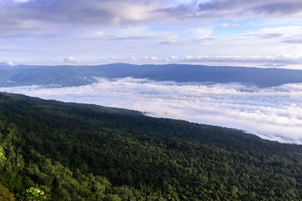 Niebla de la mañana con montaña en el parque nacional Phu Kradueng, Loei Tailandia . — Foto de Stock