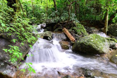 Milli Parkı, Saraburi Tayland Krak E Dok şelale.