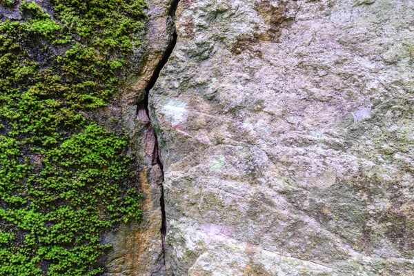 Natürliche Bruchsteine und Moos im Wald. — Stockfoto