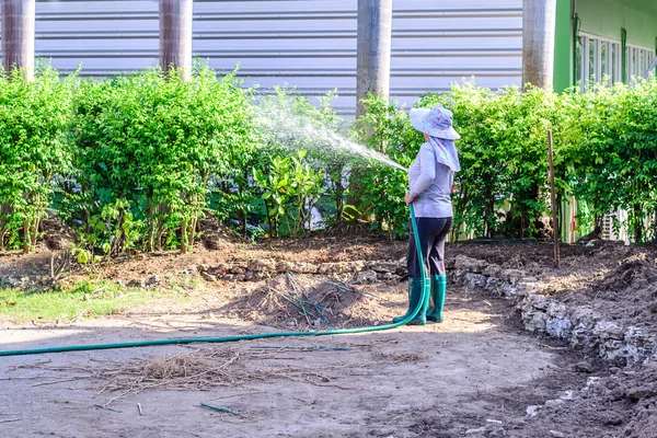 Arrosage jardinier avec tuyau d'eau dans le jardin . — Photo