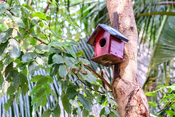 木の上のカラフルな鳥の家. — ストック写真