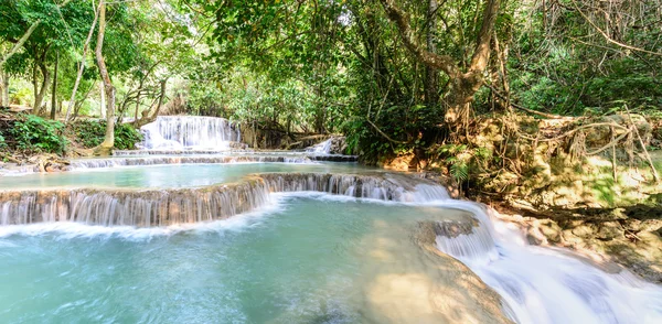 Panoramic view of rainforest waterfall, Tat Kuang Si Waterfall at Luang Prabang, Loas. — Stock Photo, Image