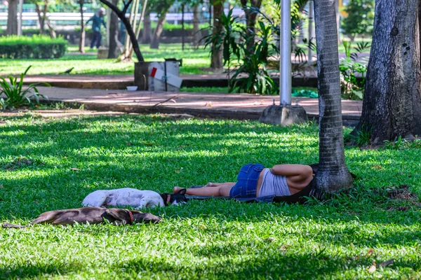 Mujer sin hogar durmiendo con perros en parque público . — Foto de Stock