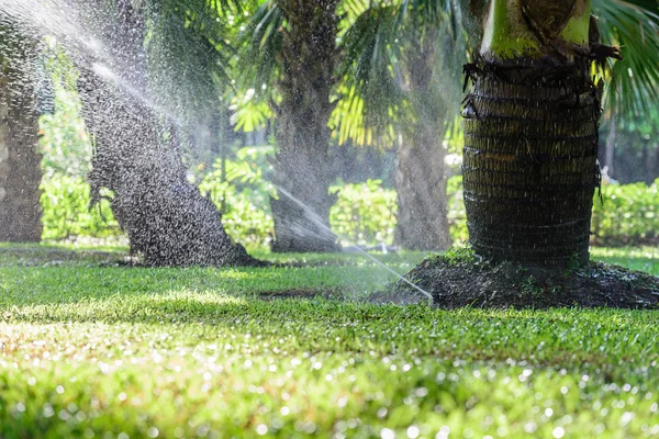 Kerti pázsit víz sprinkler rendszer. — Stock Fotó