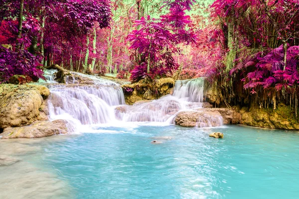 Cascata della foresta pluviale, Tat Kuang Si Waterfall a Luang Prabang, Loas . — Foto Stock