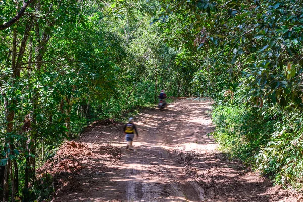 Estrada lamacenta na floresta tropical . — Fotografia de Stock