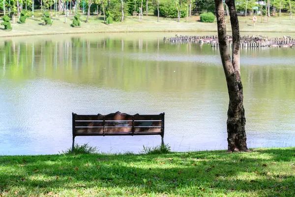 花园池塘附近的复古金属长凳. — 图库照片