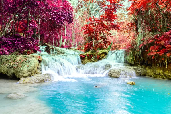 Yağmur ormanları şelale, Tat Kuang Si Waterfall Luang Prabang, Loas.