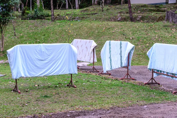 日当たりの良い夏の日に庭で乾燥機. — ストック写真