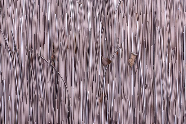 Texturiert aus einfachen Blattstielen aus trockenen Kokosblättern. — Stockfoto