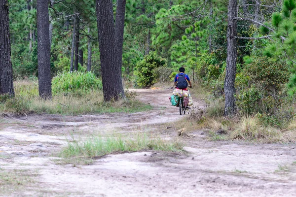 Jazda na rowerze dostawa na miejsce podróży na szczyt góry Parku Narodowego. — Zdjęcie stockowe