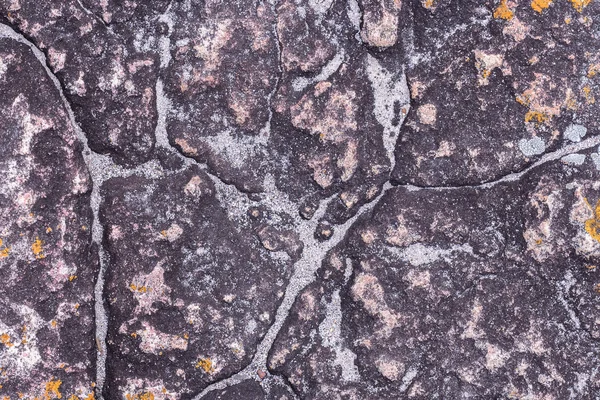 Piedra fracturada natural y líquenes en el bosque . — Foto de Stock