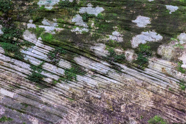 Mousse recouverte de texture de pierre dans la forêt . — Photo