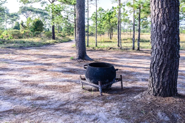 Trashcan Keeping Garbage Public Park Made Unused Tire — Stock Photo, Image