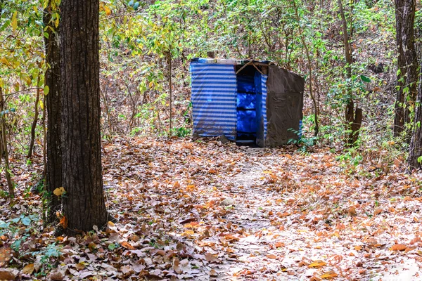 Aseo temporal en el bosque . — Foto de Stock