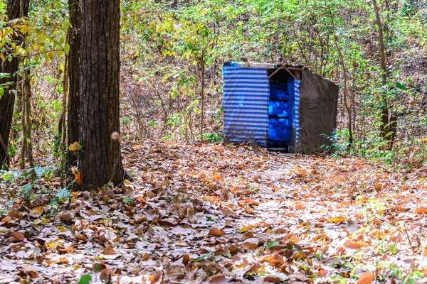 Temporariamente banheiro na floresta . — Fotografia de Stock