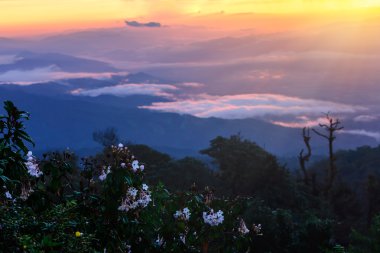 Sis ve Doi Pha Hom Pok, dağ manzarası, ikinci en yüksek dağı Tayland, Chiang Mai, Tayland.
