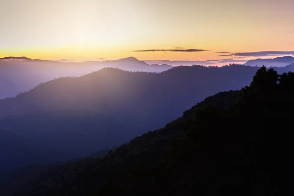 Skyline con niebla y montaña en Doi Pha Hom Pok, la segunda montaña más alta de Tailandia, Chiang Mai, Tailandia . — Foto de Stock