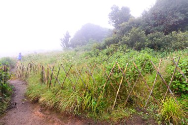 Bambu çit korumak için yasak bölge içinde doğa iz.