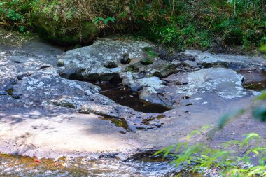 Taş delik tropikal ormanda insan ayağı gibi.