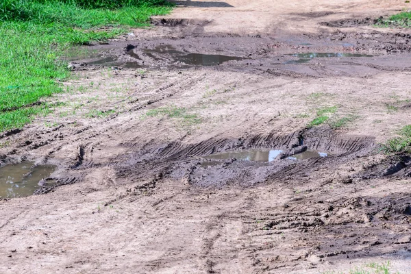 Muddy road in rain forest. — Stock Photo, Image