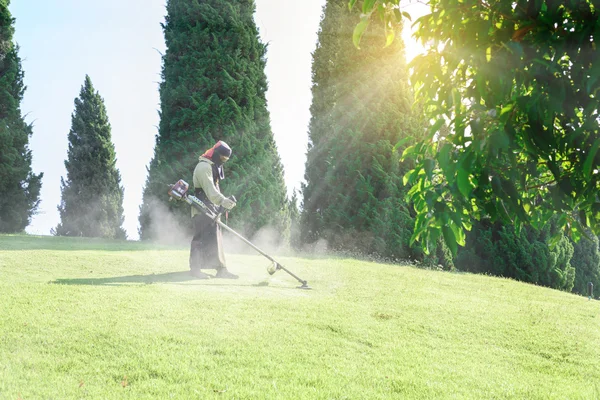 Працівник косіння газону в саду . — стокове фото