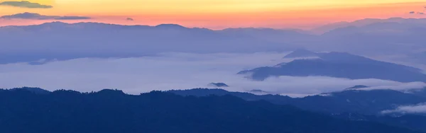 Vista panorámica del horizonte con niebla y montaña en Doi Pha Hom Pok, la segunda montaña más alta de Tailandia, Chiang Mai, Tailandia . — Foto de Stock