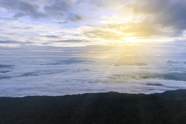 Niebla de la mañana con montaña en el parque nacional Phu Kradueng, Loei T — Foto de Stock