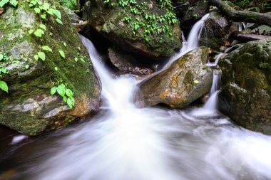 Yağmur ormanları şelale Milli Parkı, Saraburi Tayland içinde.