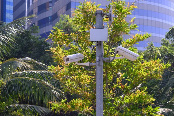 Kamera do monitoringu zdarzeń w miejskim ogrodzie. — Zdjęcie stockowe