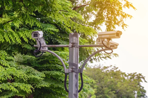 Kamera do monitoringu zdarzeń w miejskim ogrodzie. — Zdjęcie stockowe